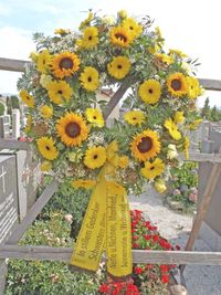 14 Sonnenblumen, gelbe Gerbera und Rosen